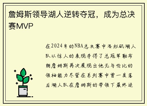 詹姆斯领导湖人逆转夺冠，成为总决赛MVP