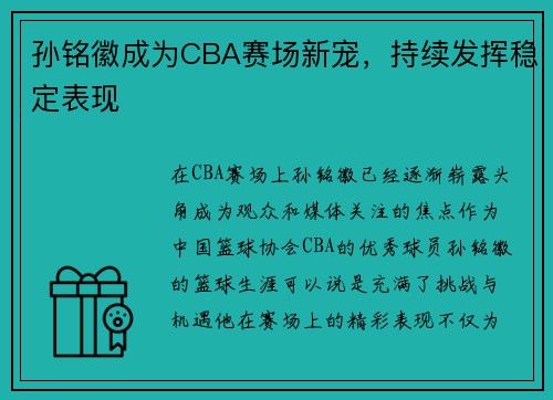 孙铭徽成为CBA赛场新宠，持续发挥稳定表现